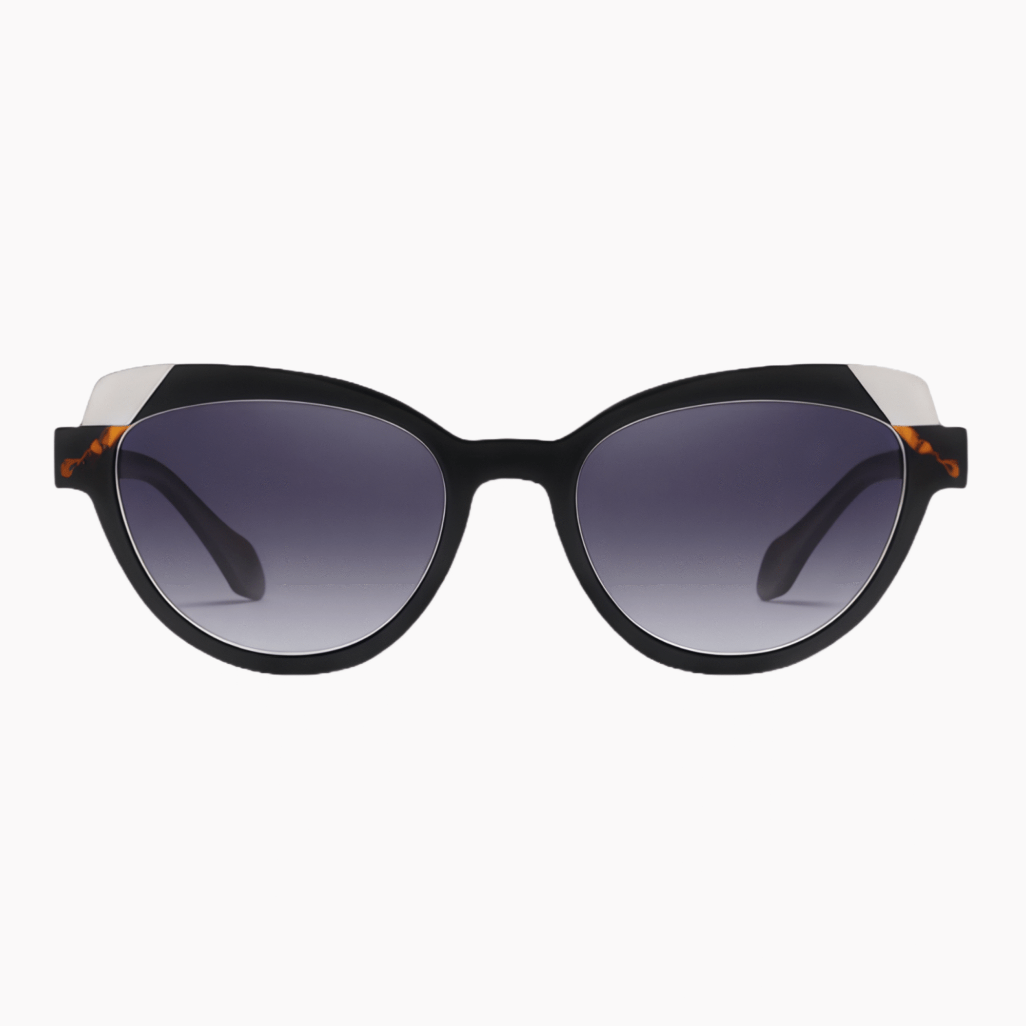 10 Premium TR90 cat-eye sunglasses featuring full-frame design, polarized protection, and UV400 blocking for women.
