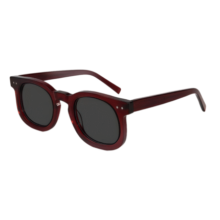 VisionWorld's thick-frame oval-square sunglasses for men and women. Combines polarized UV400 protection with retro-luxury acetate design.