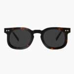 VisionWorld unisex oval-square sunglasses with thick acetate frames. Polarized lenses offer UV400 protection and anti-glare performance in retro-luxury style.
